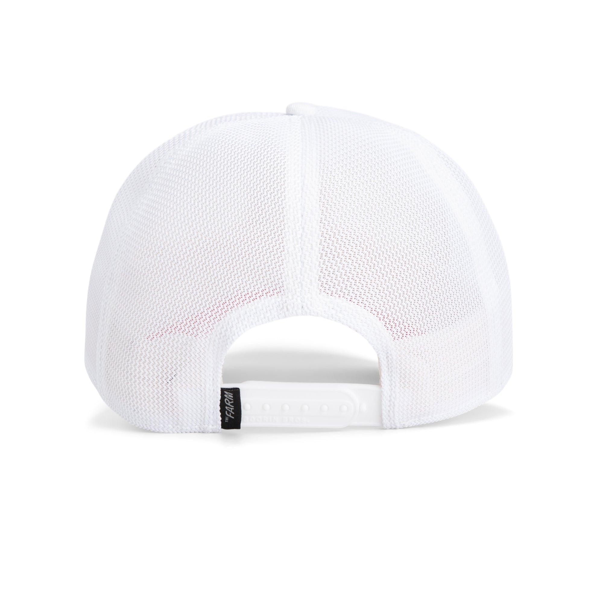 Back view of the Aquapals embroidered mesh hat by Goorin Bros., featuring an adjustable snapback closure and a small black tag—an ideal, stylish accessory for beach or surf outings.