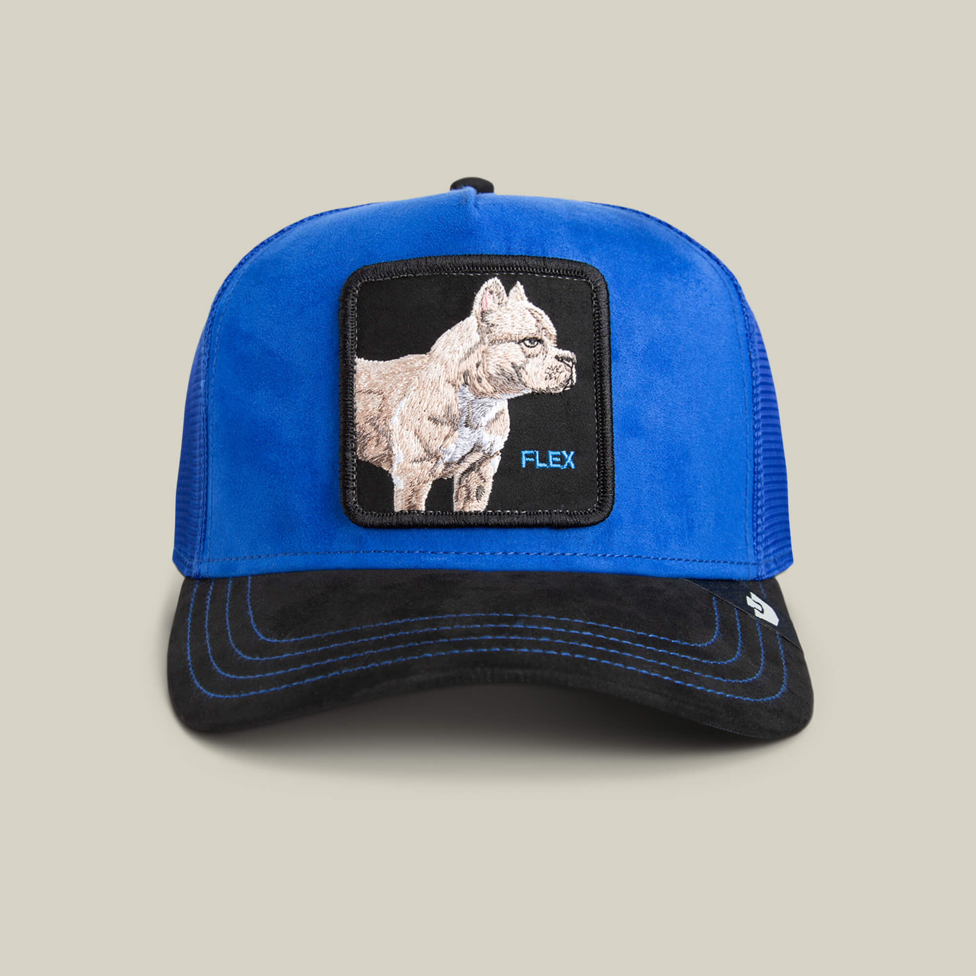 The Goorin Bros. Suede Pitbull cap features an electric blue crown, black suede brim, and a bulldog patch with "FLEX" on the front.