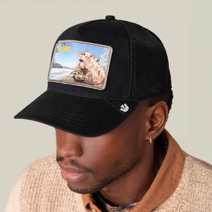 A person wears the Goorin Bros. Morning Wood black crown cap with a bear patch, styled with a beige textured sweater and brown collared shirt—perfect for that rise ’n grind energy.