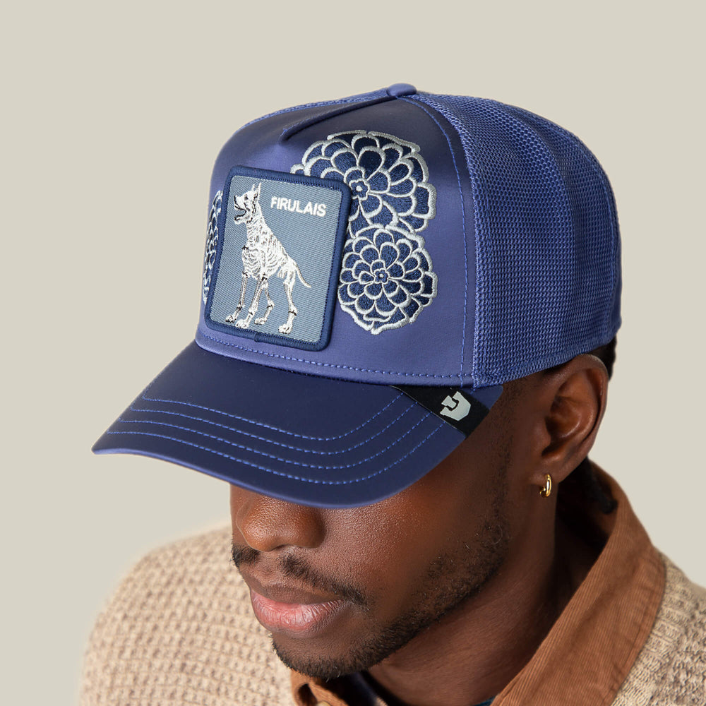 Goorin Dia De Firulais Trucker Hat, Celestial, One Size  display picture 1