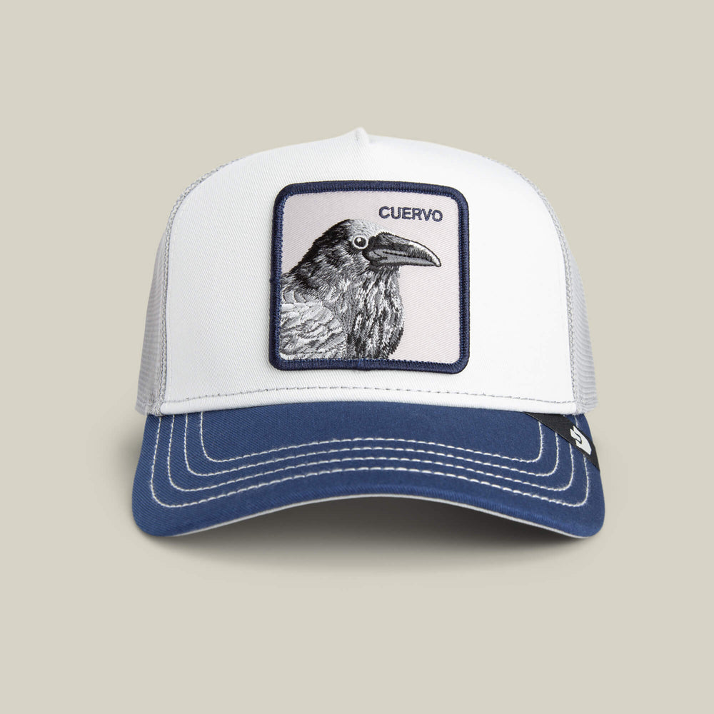TRICOLOR RAVEN - 1