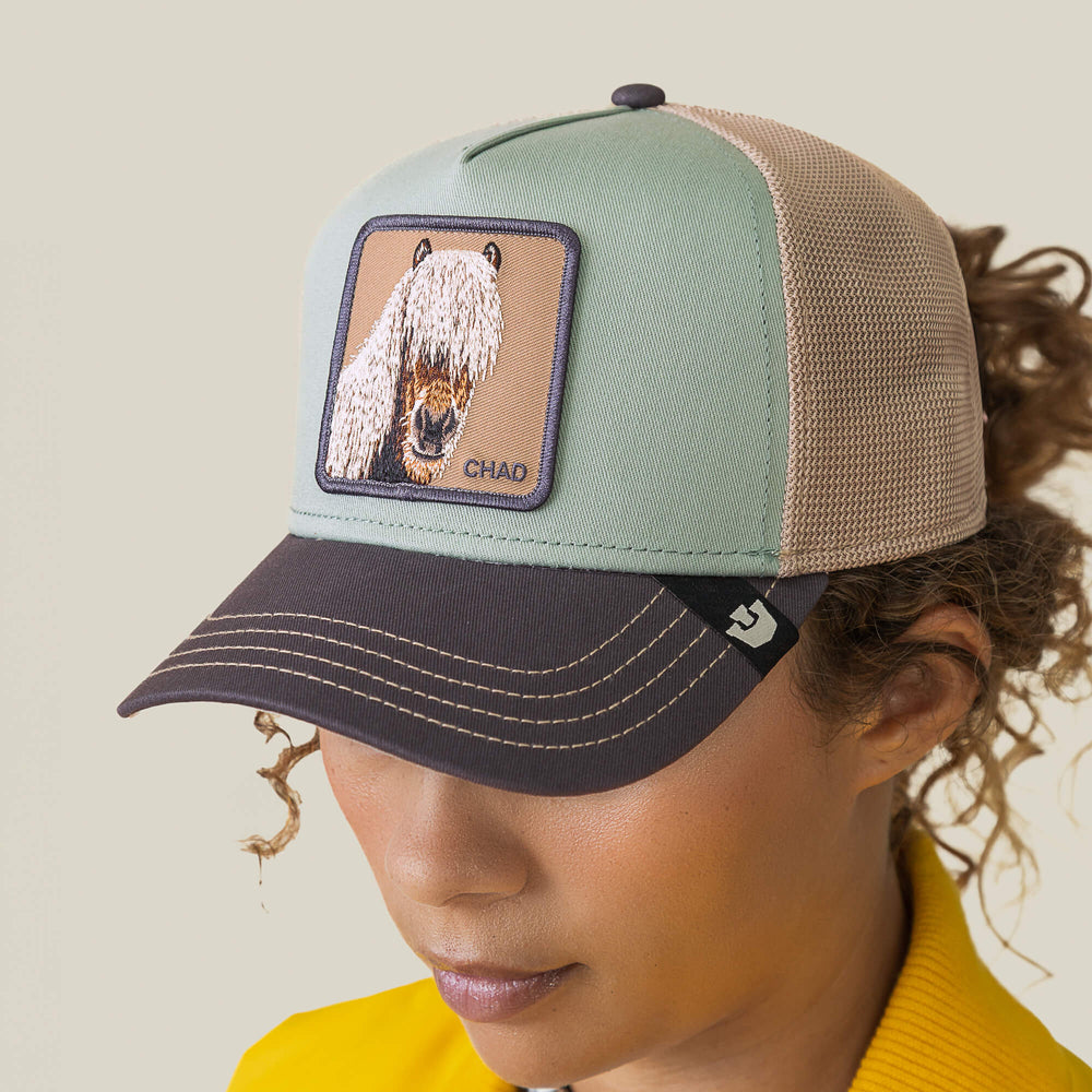 Goorin Tricolor Horse Trucker Hat, Multi, One Size, Unisex