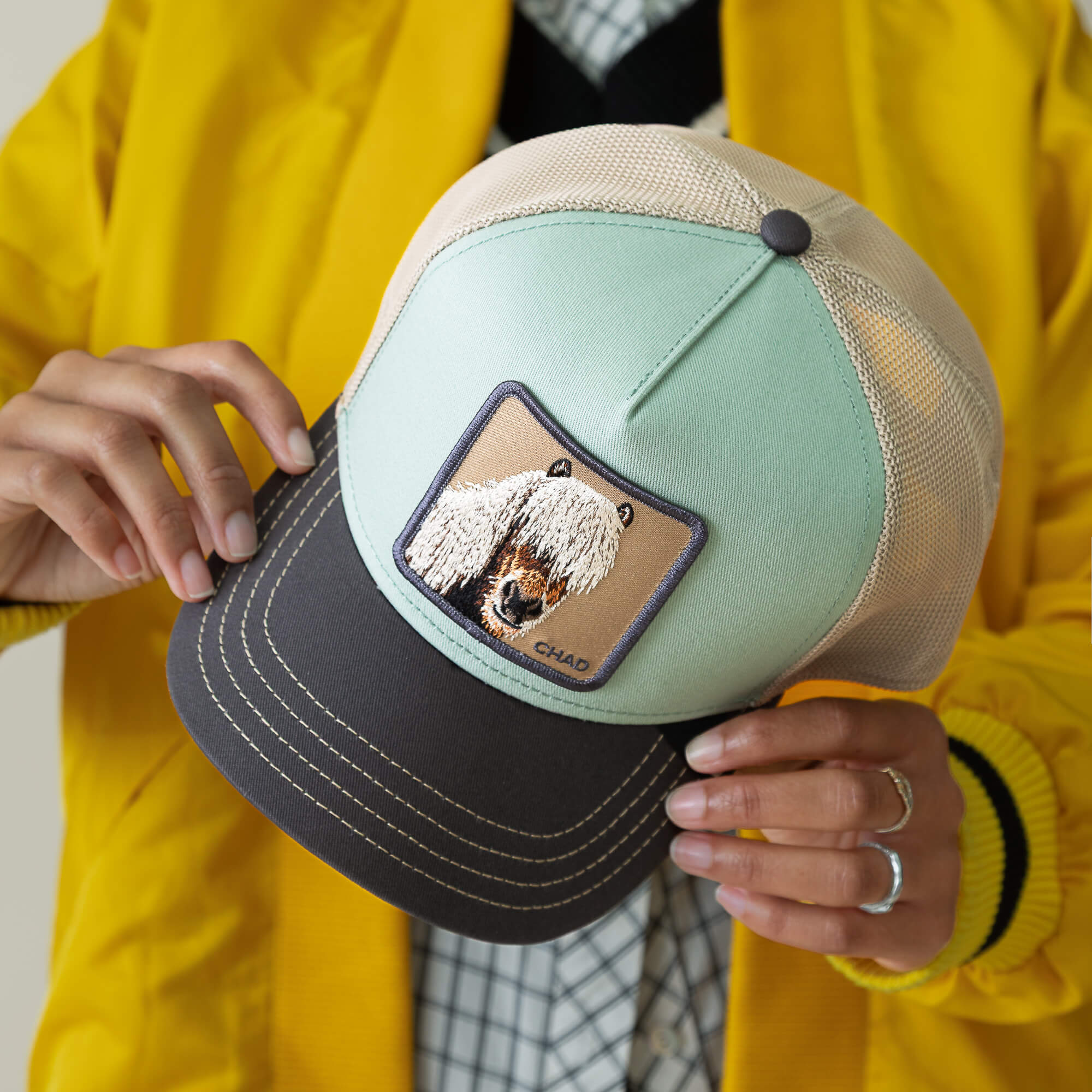 Goorin Tricolor Horse Trucker Hat, Multi, One Size, Unisex