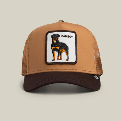 The Bad Boy by Goorin Bros. is a stylish hat with a brown and black design, mesh back, and a front patch featuring a Rottweiler illustration and the words BAD BOY.