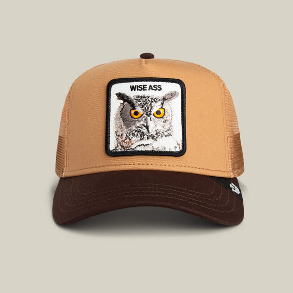 Goorin Wise Ass owl farm edition baseball cap Goorin Bros. Wise Ass Owl Patch Snapback Trucker Hat | Nordstrom main image 3