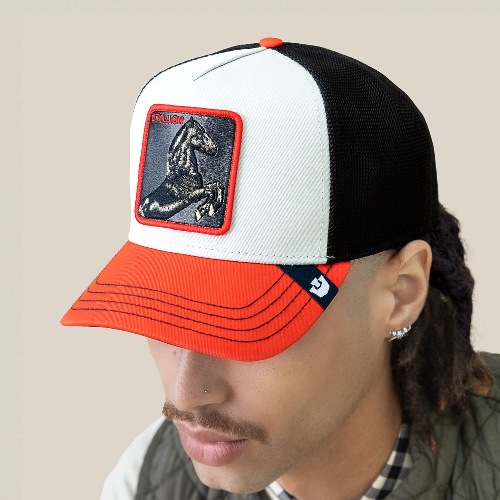 Goorin Tricolor Stallion Trucker Hat, Multi, One Size, Unisex