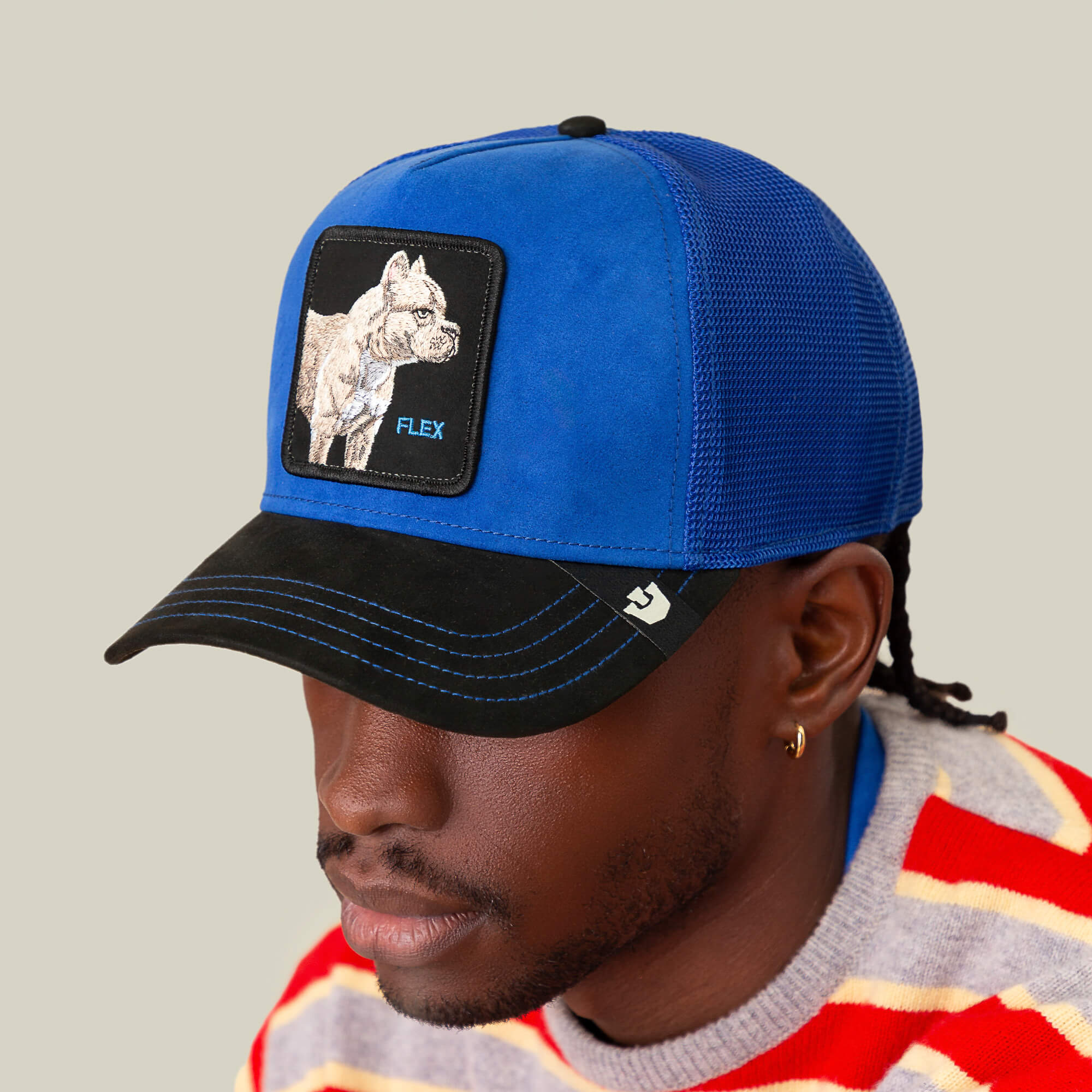Someone wearing the Goorin Bros. Suede Pitbull cap—blue and black with an electric blue crown and bulldog patch labeled FLEX—paired with a red, gray, and yellow striped sweater.
