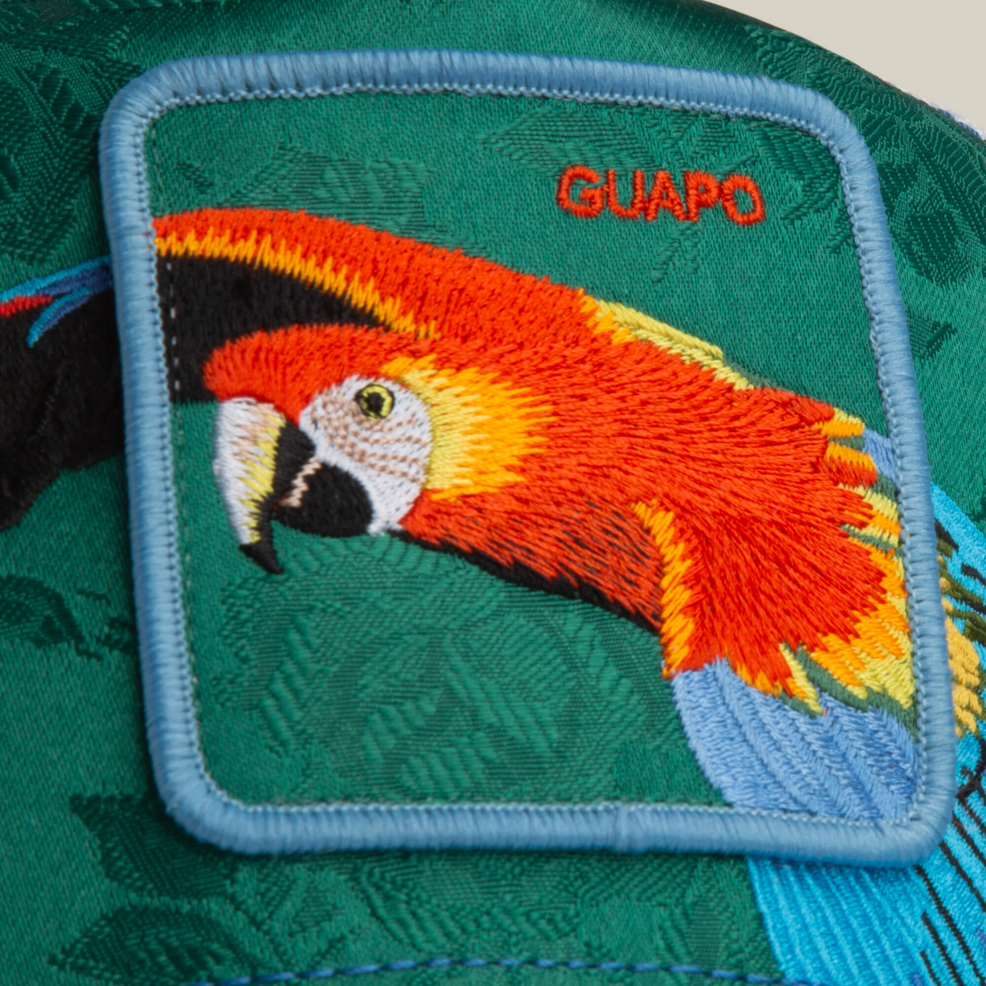 Honduras Macaw embroidered patch by Goorin Bros., featuring a colorful bird and "GUAPO" text on a green fabric background.