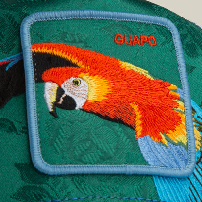 Honduras Macaw embroidered patch by Goorin Bros., featuring a colorful bird and "GUAPO" text on a green fabric background.