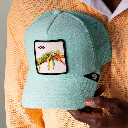 A person holds the Goorin Bros. Terry Cloth Iguana hat, a light blue plush cap with a colorful iguana patch and "MOOD" text, while wearing a textured light orange sweater.