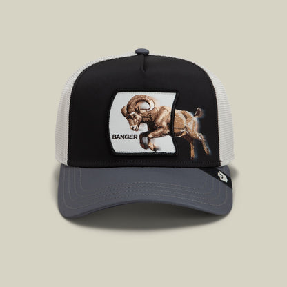The Goorin Bros. Migration Banger trucker hat features a black front panel and white mesh back with a gray bill, showcasing an embroidered brown ram design and "Banger" text on a white patch.