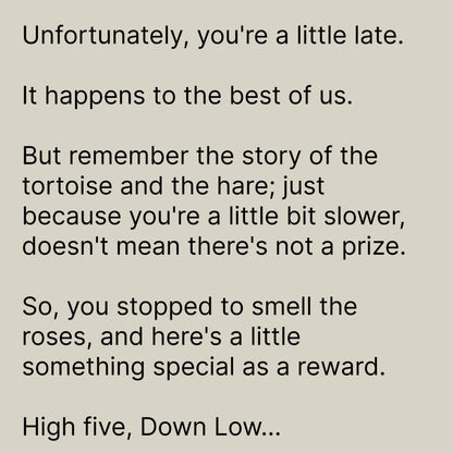 Text reads: Unfortunately, you're a little late. It happens to the best of us... but being slower doesn't mean there's no prize. High five—check out the Down Low... hat from Goorin Bros.!.