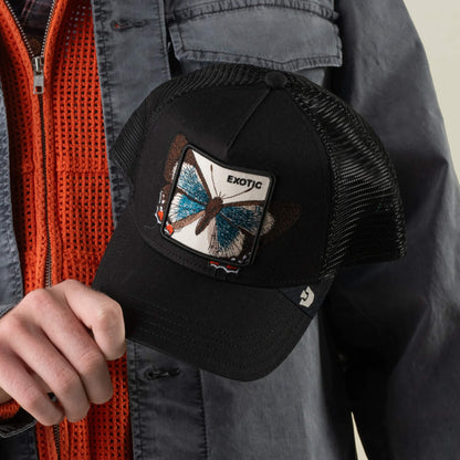 A person holds the Goorin Bros. Over the Line Butterfly cap, a black breathable mesh hat featuring a butterfly patch with “EXOTIC” embroidered above it. The butterfly-embroidered accessory complements their outfit, paired with an orange zip sweater and a gray jacket.