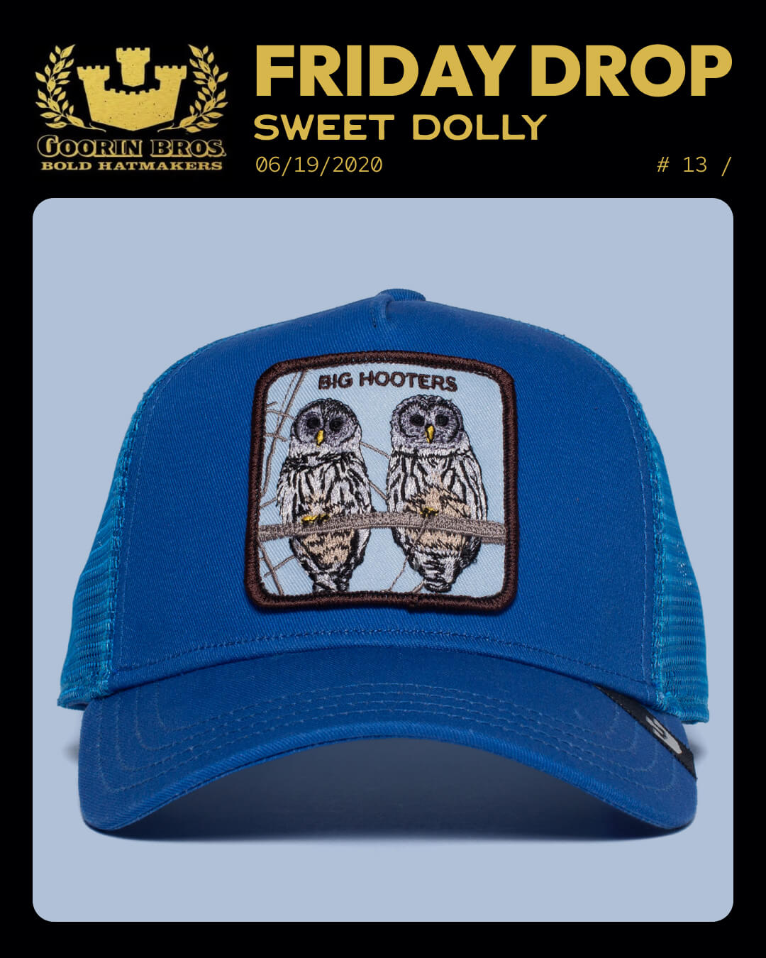 A durable hat with bold hat designs, this blue trucker features a patch of two owls and "BIG HOOTERS" embroidered above them, displayed against a light blue background.