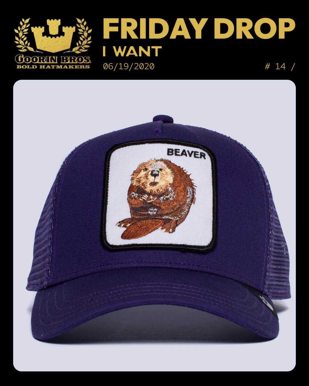 A purple mesh Goorin trucker hat with a front patch featuring an illustration of a beaver and the word BEAVER above it.
