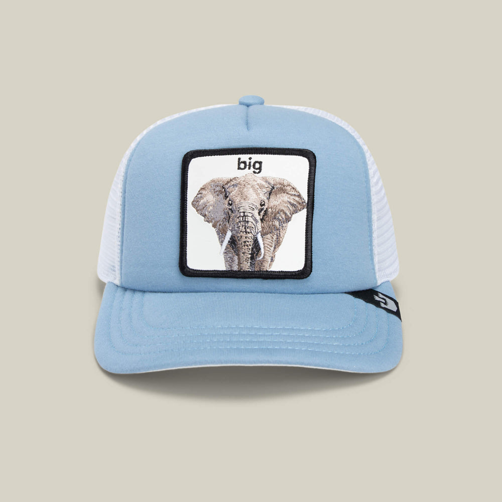 Gorra Goorin Bros Extinct Dinosaurio 100% Original | Cuotas sin interés Gorra Goorin Bros Extinct Dinosaurio 100% Original | Cuotas sin interés