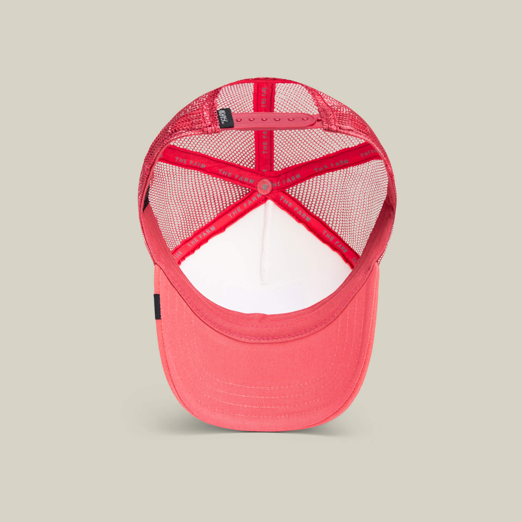 The Goorin Bros. Dodo Kiddo cap is shown from above, highlighting its inner mesh lining, adjustable strap, and embroidered dodo patch on a neutral background.