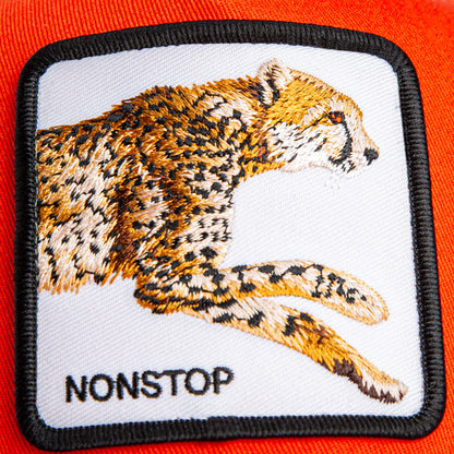 The Nonstop Cheetah Mini by Goorin Bros. features an orange crown and a sewn-on patch with an embroidered cheetah and the word "NONSTOP" for kids.