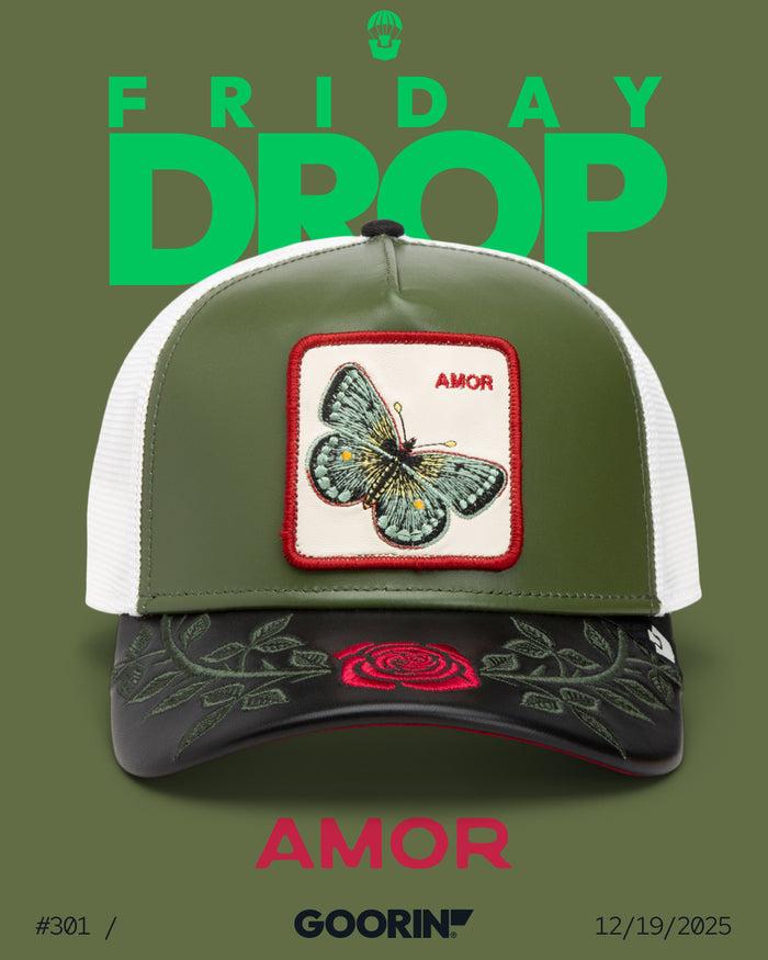 Gorra Goorin Bros Edicion Limitada Fancy Friday Drop | Meses sin interés Gorra Goorin Bros Edicion Limitada Fancy Friday Drop | Meses sin interés