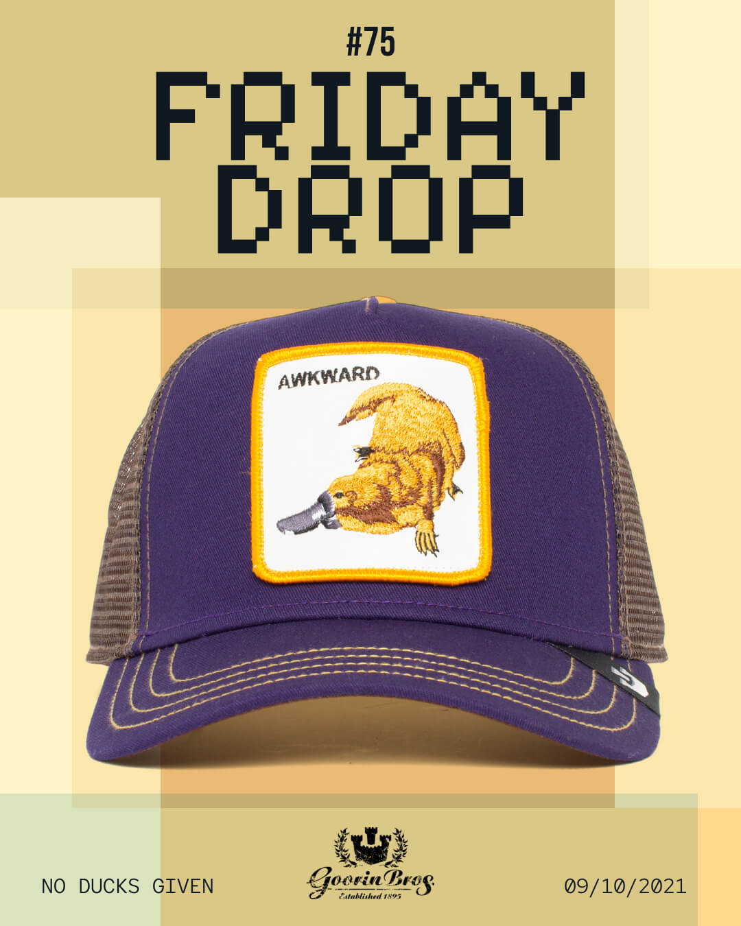 A brown and purple mesh cap, American made and built like durable hats, with a patch showing a platypus labeled AWKWARD, under text reading FRIDAY DROP #75. Bottom text says NO DUCKS GIVEN and 09/10/2021.