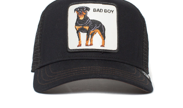 Let Your Boys Be Country Trucker Hat 