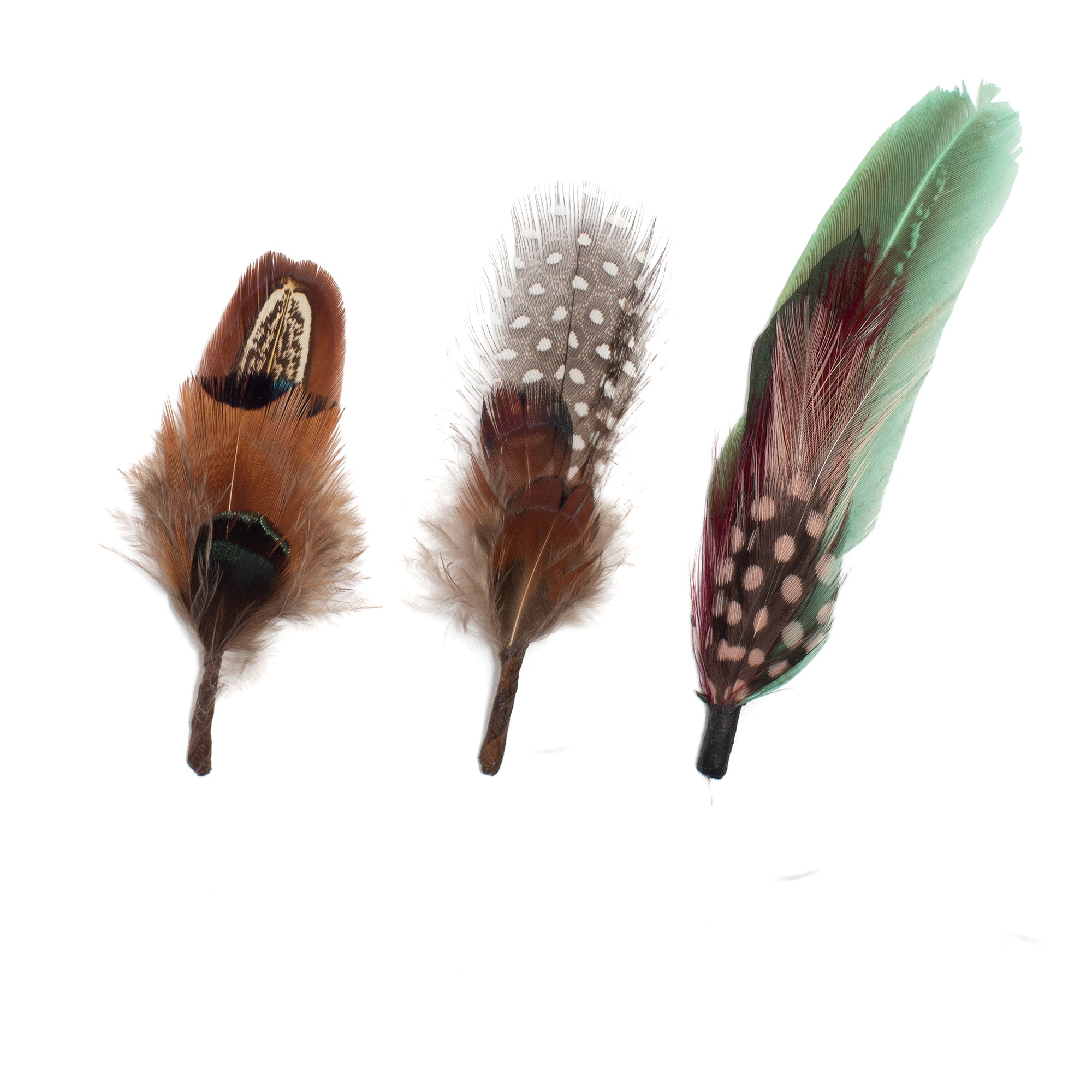 Green Daze Goorin Bros Hat Feather Accessory Pack – Goorin Bros.